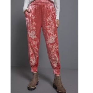Rosie embroidered velvet joggers by Anthropologie